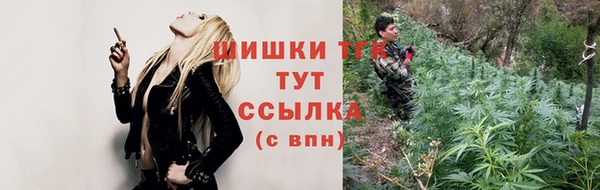 дживик Болотное