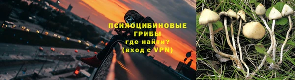 ГАЛЛЮЦИНОГЕННЫЕ ГРИБЫ Болохово