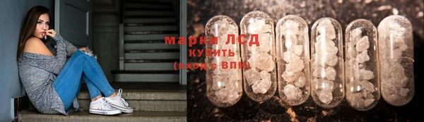 гидропоника Дмитров