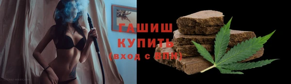 твердый Дмитриев