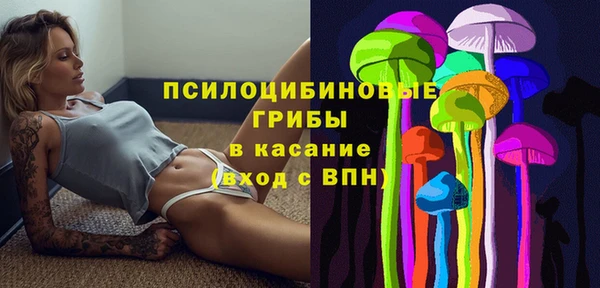 гидропоника Дмитров