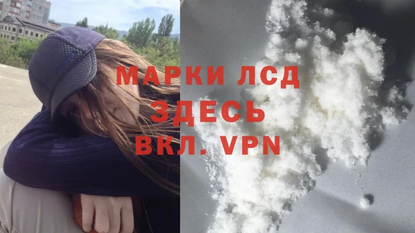 ГАЛЛЮЦИНОГЕННЫЕ ГРИБЫ Болохово