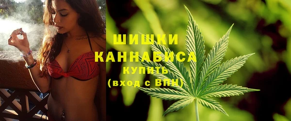 твердый Дмитриев